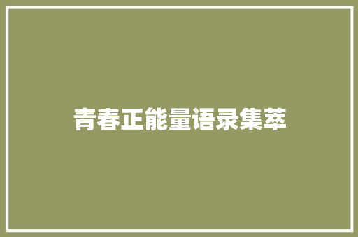 青春正能量语录集萃