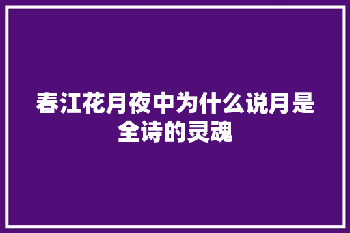 春江花月夜中为什么说月是全诗的灵魂