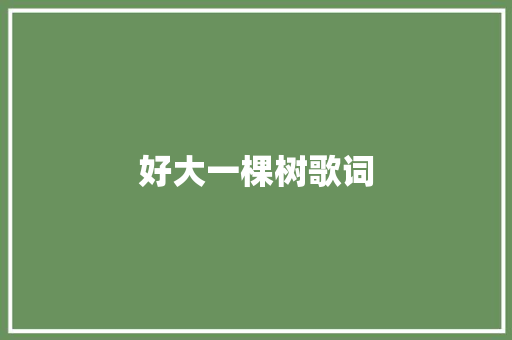 好大一棵树歌词