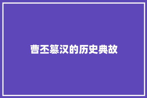 曹丕篡汉的历史典故