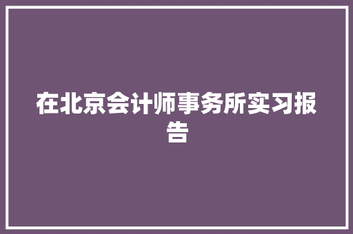 在北京会计师事务所实习报告