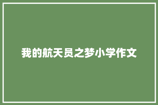 我的航天员之梦小学作文 简历模板