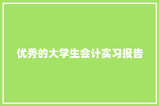 优秀的大学生会计实习报告