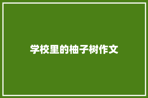 学校里的柚子树作文