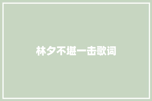 林夕不堪一击歌词