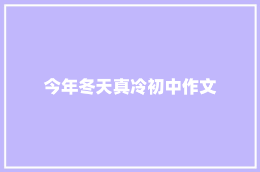 今年冬天真冷初中作文