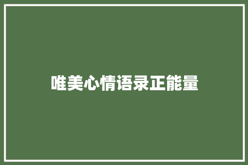 唯美心情语录正能量