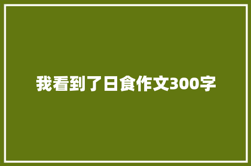 我看到了日食作文300字