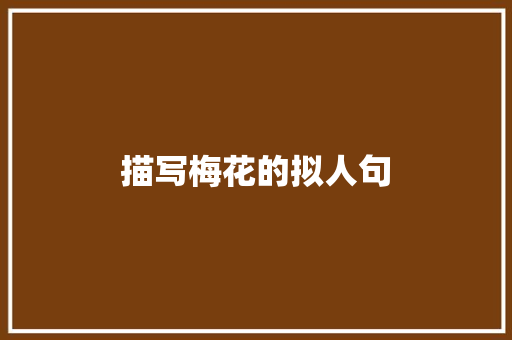 描写梅花的拟人句