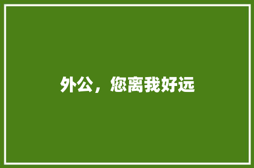 外公，您离我好远 报告写作