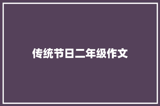 传统节日二年级作文