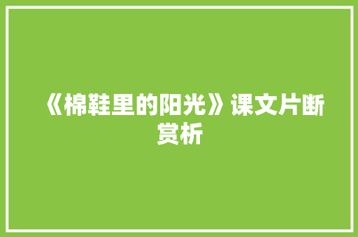 《棉鞋里的阳光》课文片断赏析