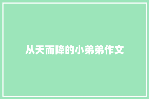 从天而降的小弟弟作文 词汇积累
