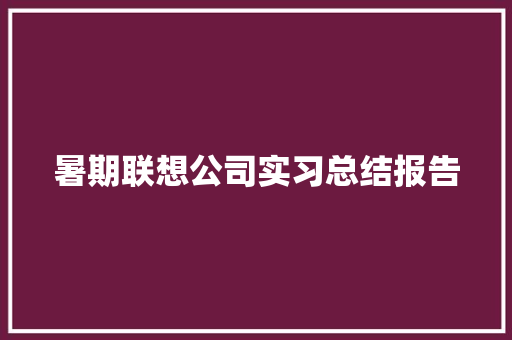 暑期联想公司实习总结报告
