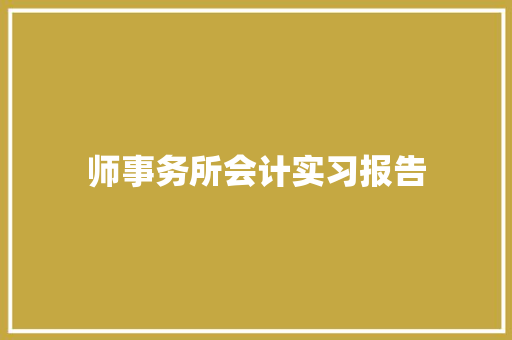 师事务所会计实习报告