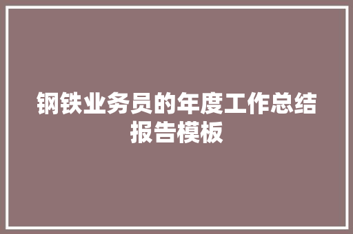 钢铁业务员的年度工作总结报告模板