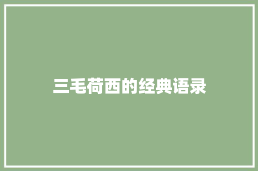 三毛荷西的经典语录 写作技巧