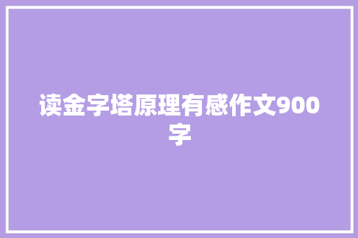 读金字塔原理有感作文900字 词汇积累