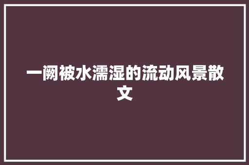 一阙被水濡湿的流动风景散文 商业文案
