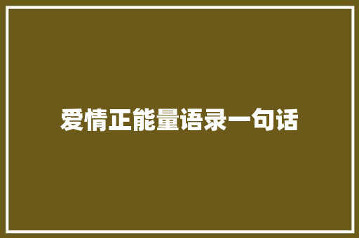 爱情正能量语录一句话
