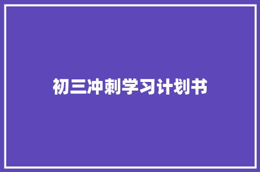 初三冲刺学习计划书 报告写作