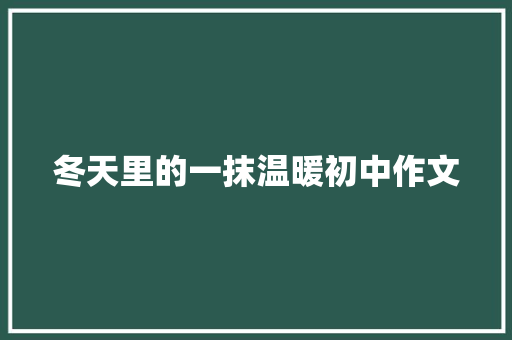 冬天里的一抹温暖初中作文