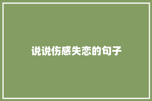 说说伤感失恋的句子 商业文案