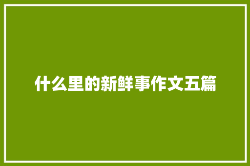 什么里的新鲜事作文五篇 商业文案