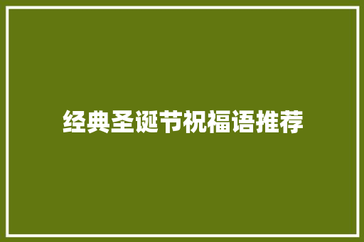 经典圣诞节祝福语推荐