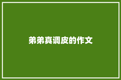 弟弟真调皮的作文