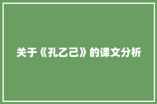 关于《孔乙己》的课文分析 报告写作
