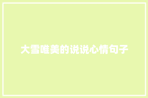大雪唯美的说说心情句子 简历模板