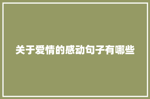 关于爱情的感动句子有哪些 写作素材