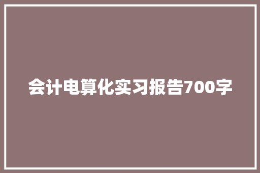 会计电算化实习报告700字 诗歌创作
