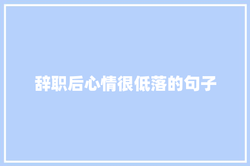 辞职后心情很低落的句子 写作素材