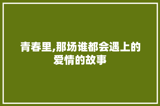 青春里,那场谁都会遇上的爱情的故事