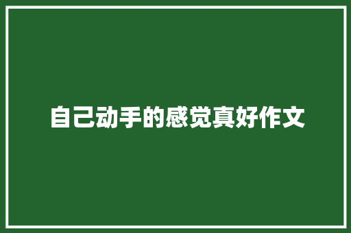 自己动手的感觉真好作文 写作素材