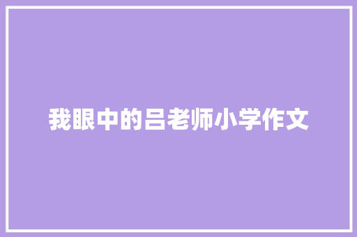 我眼中的吕老师小学作文
