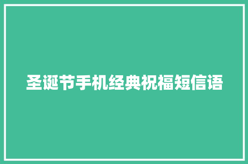 圣诞节手机经典祝福短信语 词汇积累