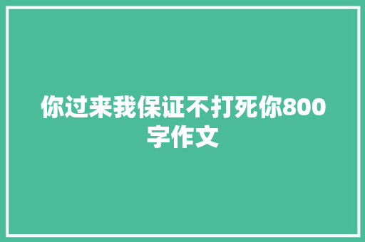 你过来我保证不打死你800字作文 报告写作