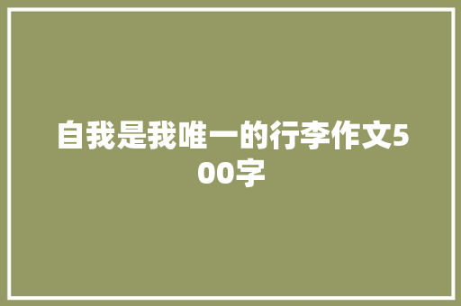 自我是我唯一的行李作文500字
