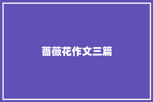 蔷薇花作文三篇