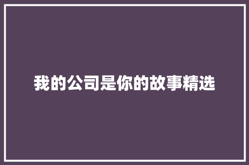 我的公司是你的故事精选 写作素材