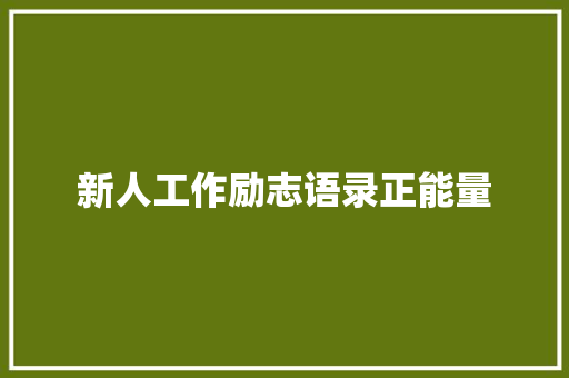 新人工作励志语录正能量