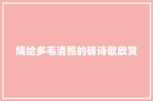 烧给多毛清照的砖诗歌欣赏 商业文案