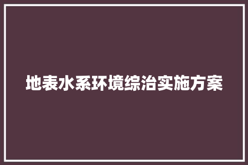 地表水系环境综治实施方案 写作素材
