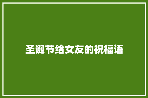 圣诞节给女友的祝福语