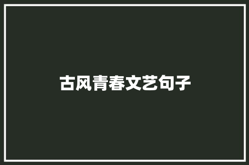 古风青春文艺句子 写作素材