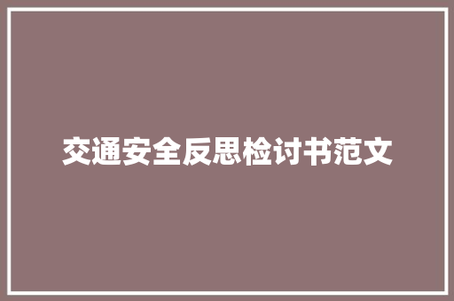 交通安全反思检讨书范文 简历模板