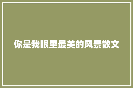 你是我眼里最美的风景散文 写作素材